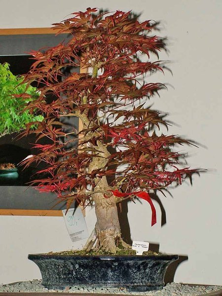 DSCF2514.jpg