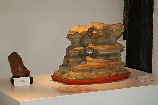 DSCF2521.jpg