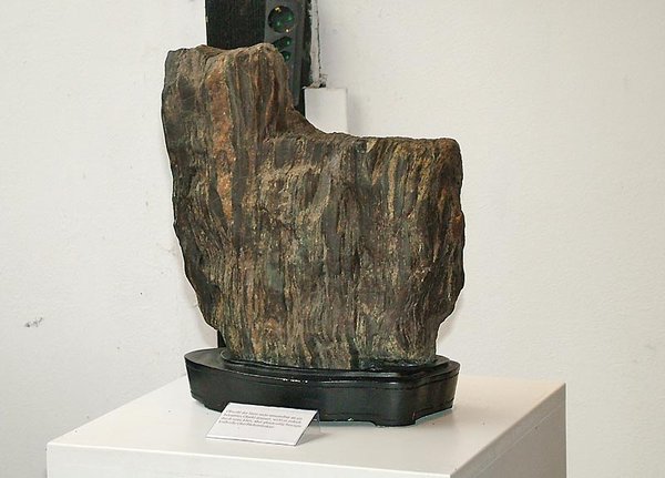 DSCF2522.jpg