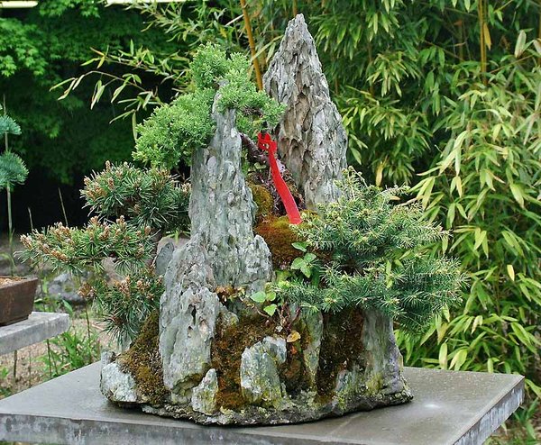 DSCF2551.jpg