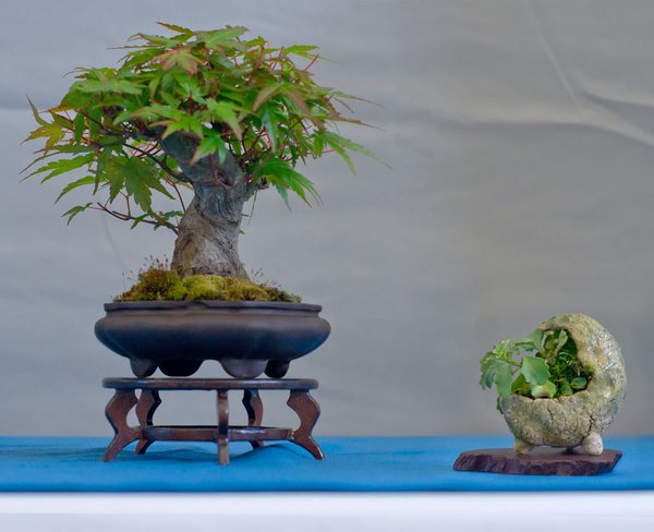DSC0813 98140.jpg