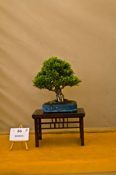 IMG_7188.jpg