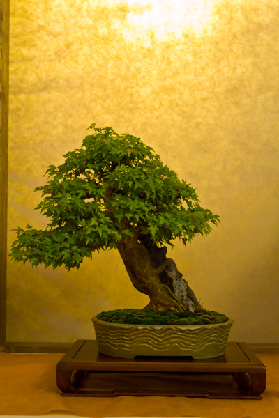 IMG_7358.jpg
