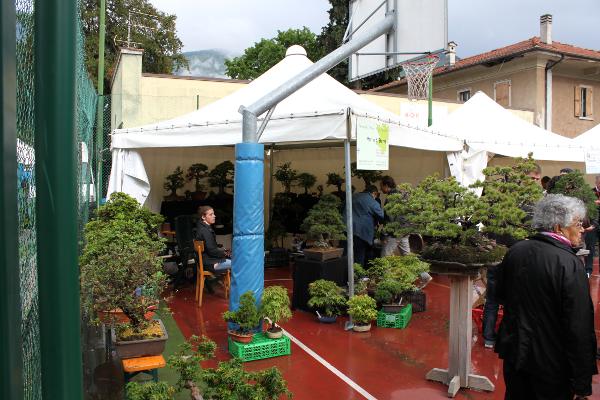 Der schöne Stand von Martin Sturm
