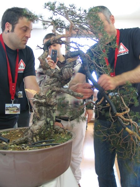 arco demo 5.jpg