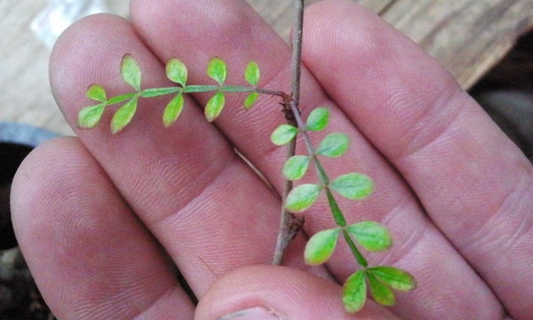 2012-05-10 07.50.21.jpg