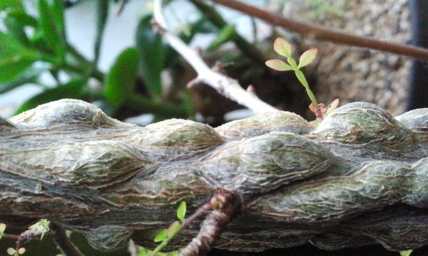 2012-05-10 07.50.09.jpg