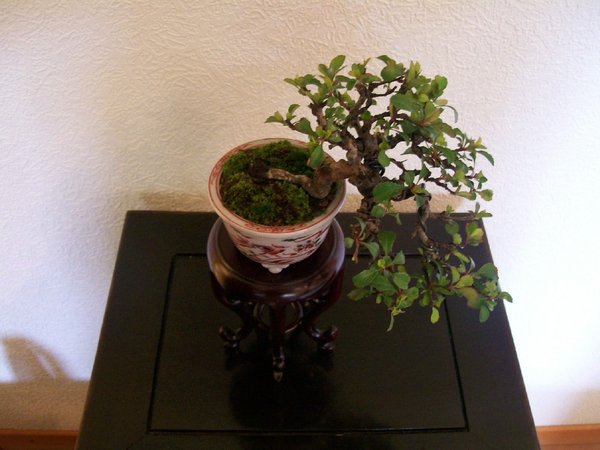 Chojubei