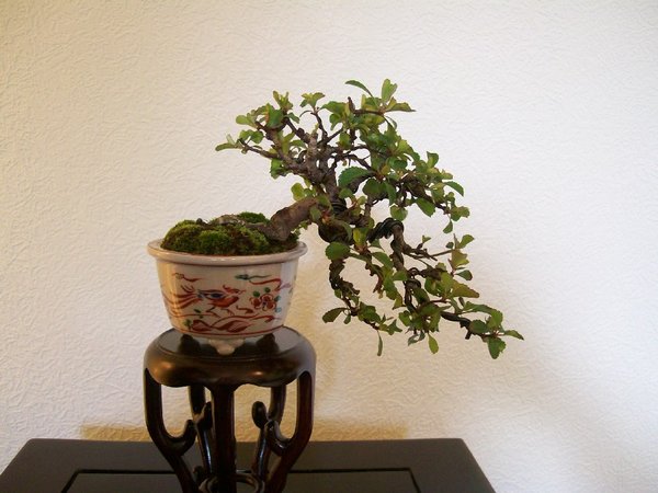 Chojubei