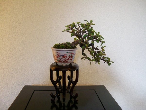 Chojubei
