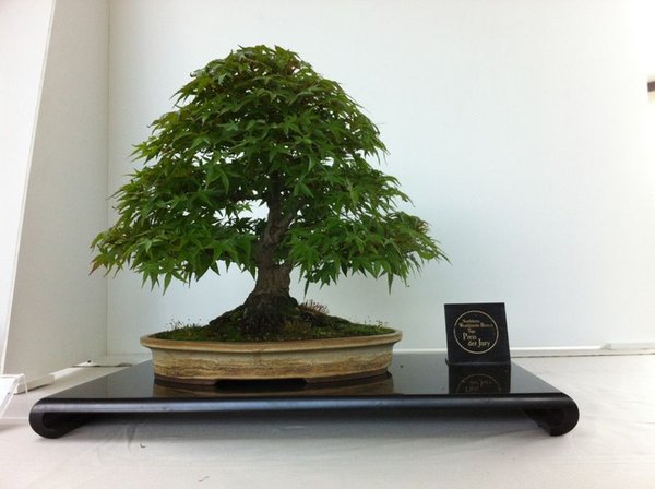 acer nrw 2012.jpg