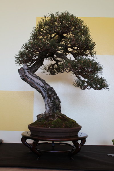 IMG_2012_05_12_0743_1.JPG