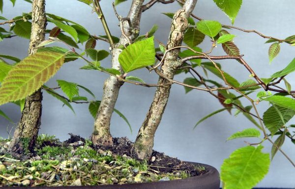 new__MG_8826.jpg