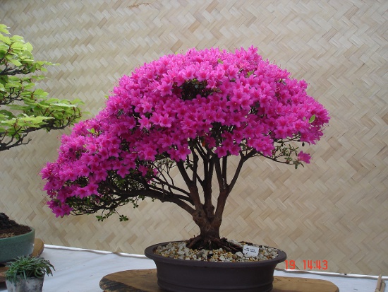 6.JPG