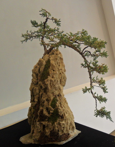 1-SAM_0919.JPG