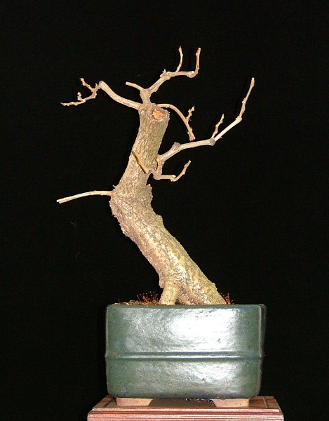 November 2010