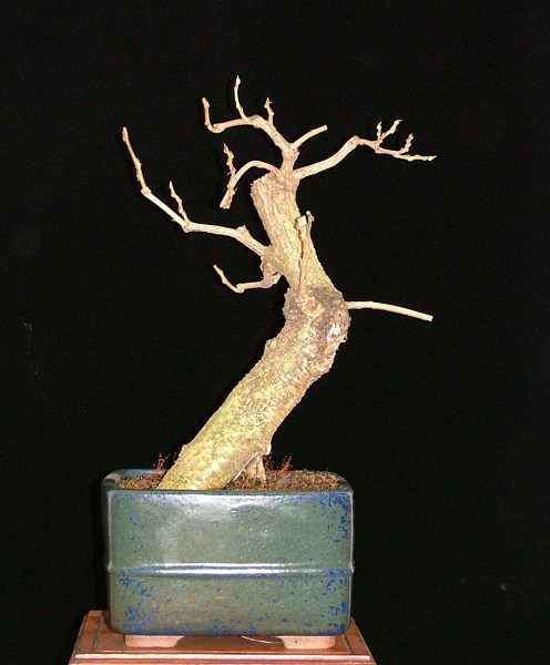 DSCF8847k.JPG