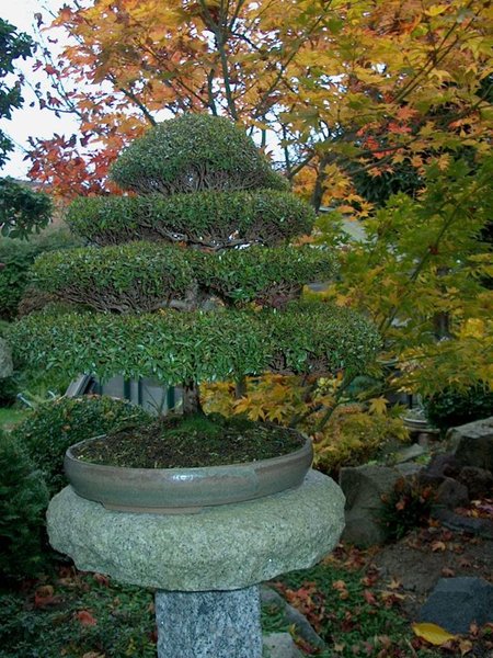 2008