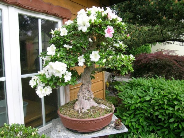 DSCN3092.jpg