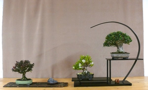 P1050803k.JPG