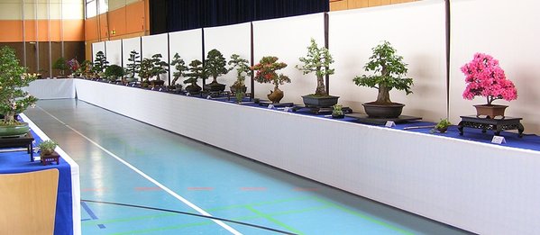 Blick in die Ausstellung