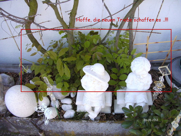 20120526_10.JPG