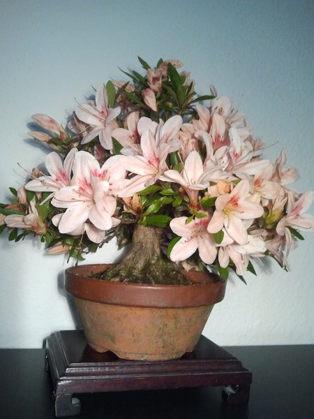 2012-06-11 20.54.37.jpg