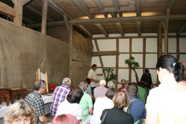 comp_IMG_7644.jpg