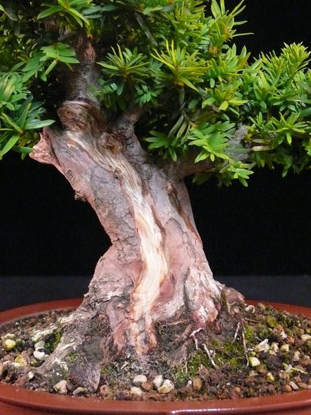 P1050948k.JPG