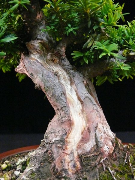 P1050949k.JPG