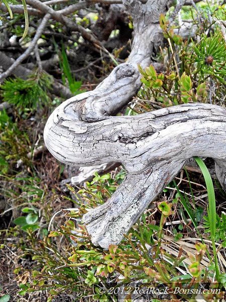 k-4blog-2012-05-27_14-42-52.jpg