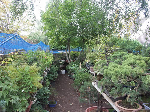 Der Garten