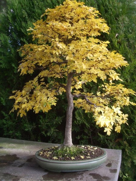 Herbst 2011