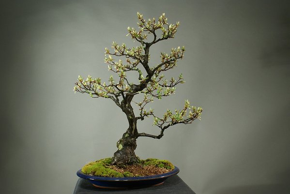 Frühing 07.04.2012