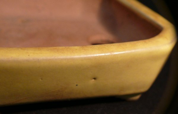 P1060034k.JPG