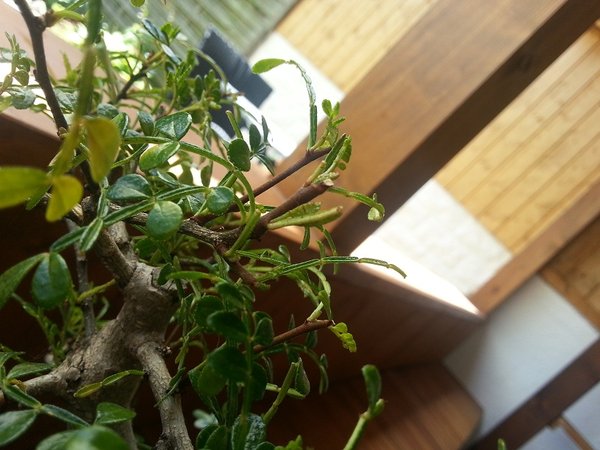 20120629_125346.jpg