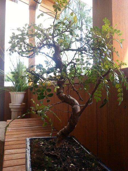 20120629_130110.jpg