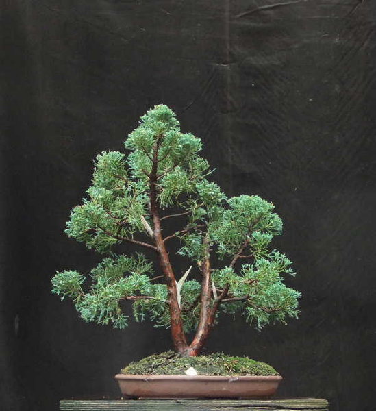 B020-Juni12-JuniBlaw.JPG