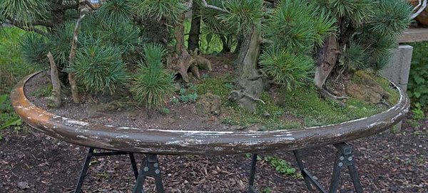 2012-07-RDSC_2018w.jpg