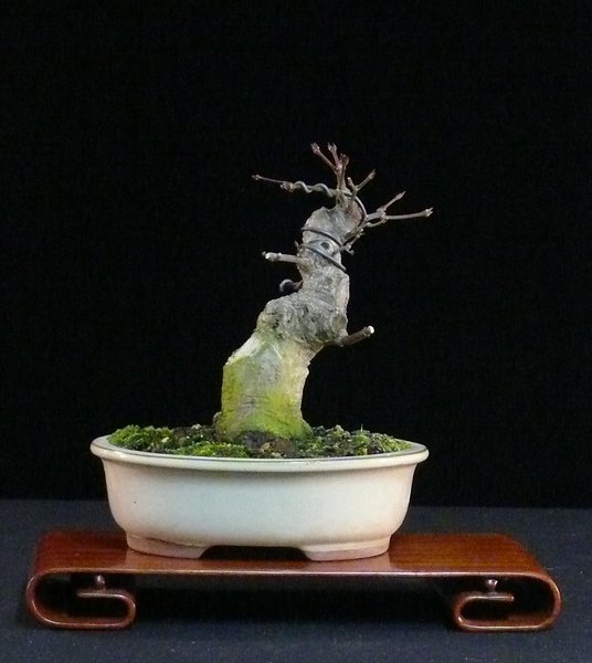 P1040530k.JPG