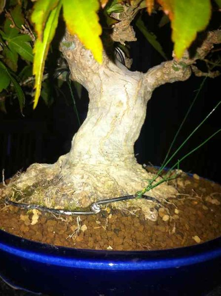 acer ansatz 2012.jpg