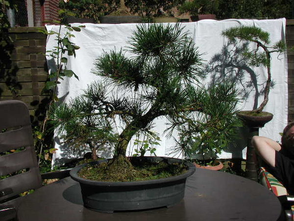 P9100054.JPG