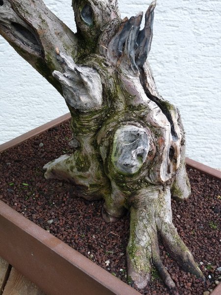 Detail zukünftig geplante Vorderseite