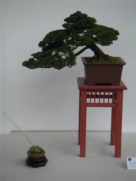 PICT0106 (Medium).JPG