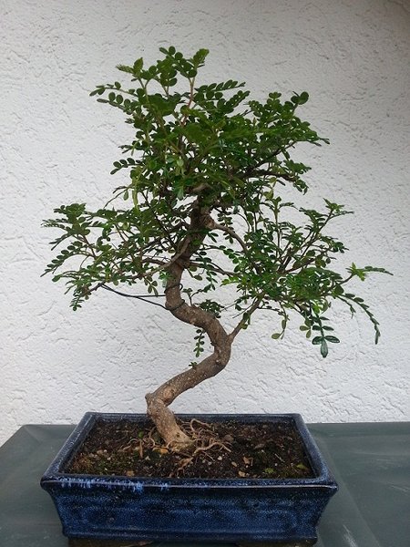 20120805_100207.jpg