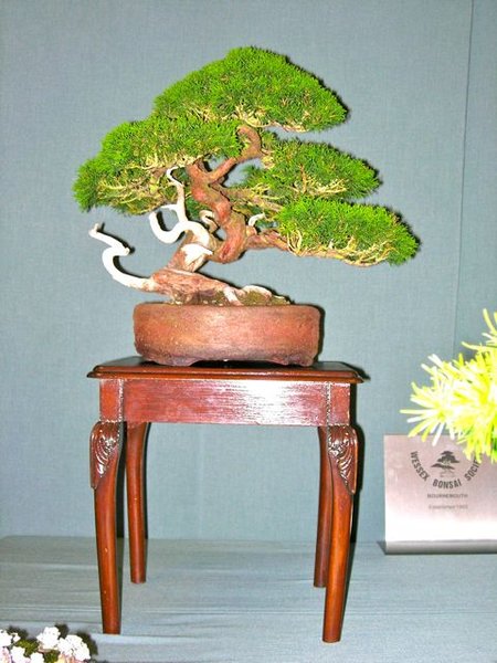 DSCN5176.jpg