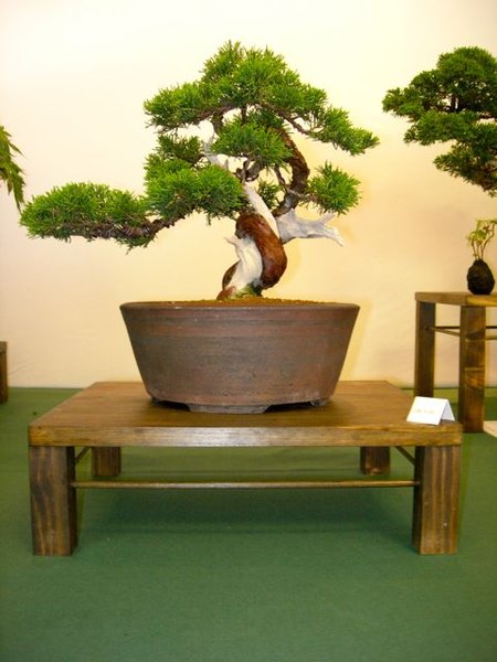 DSCN5182.jpg