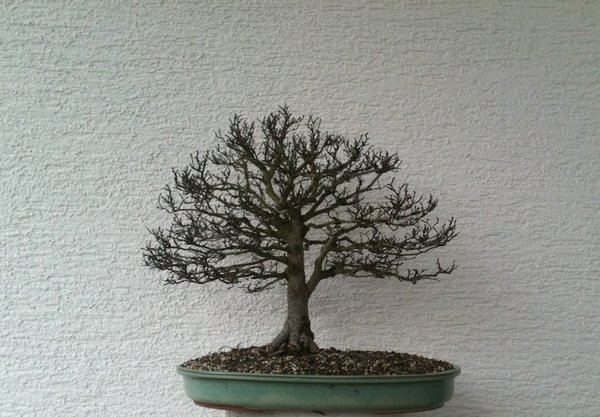 November 2011