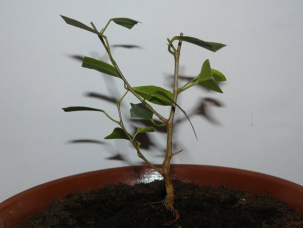 P1060050_1.jpg