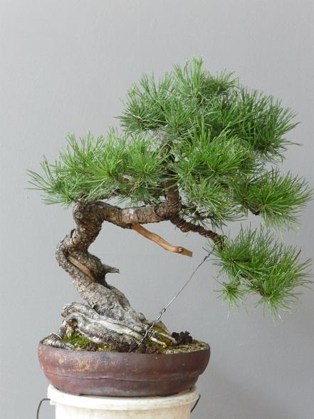 august 2012 028.jpg